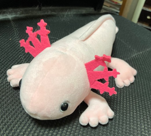 axolotl